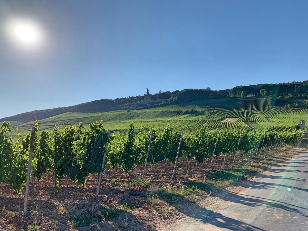 Fewo Zum Malerwinkel - Ruedesheim Rüdesheim am Rhein Exteriér fotografie